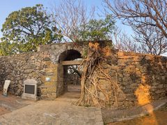 -东澳岛