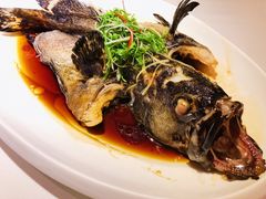 -人杰鱼乐轩(珠江路店)