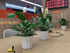 -中国平安人寿保险股份有限公司(江苏分公司客户服务中心)