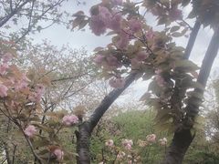 -范蠡湖公园