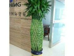 -万卉源鲜花店(百尚生活广场店)