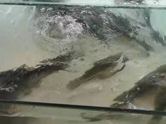 -广客美食坊(丹霞山店)