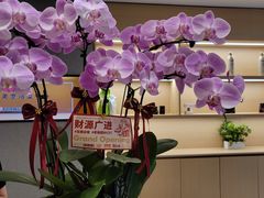 -千枝花·按摩·美容·经络SPA(建旺大厦店)