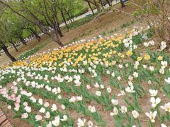 -长春公园(普阳街道)