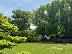 -申粤轩酒楼·三十年粤菜经典(丁香花园店)