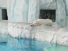 -珠海长隆海洋王国