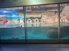 -海合安武汉极地海洋公园