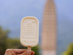 -崇圣寺三塔文化旅游区