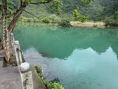 -靖西鹅泉风景区