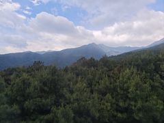 -苍山感通索道