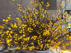 -阿庄新豫菜(南龙湖店)