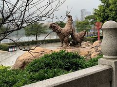 -飞来湖湿地公园