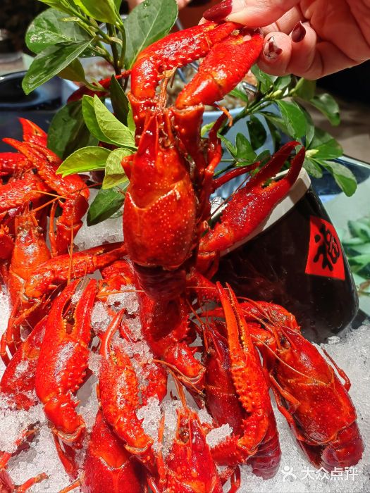 浙食逅·弄虾·融合菜·小龙虾(双城国际店)图片