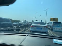 -合肥滨湖国家森林公园