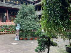 -峨眉山报国寺