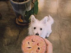 -绿房子方寸咖啡(星海名城店)