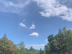 -野鸭湖国家湿地公园