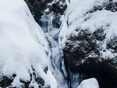 -龙苍沟森林公园