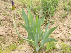 -江南大学(蠡湖校区)