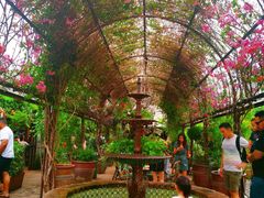 -The Grounds of Alexandria