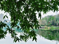 -重庆彩云湖湿地公园