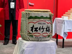 -国家会议中心大酒店