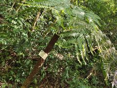 -赤水丹霞旅游区·佛光岩