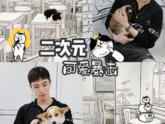 -白夜2D咖啡馆