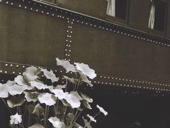-上海老站(徐家汇店)