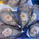 他家的带子是吃过最好吃的,今天专程来吃海鲜带子