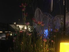 -南京夫子庙国际青年旅舍(平江府路店)