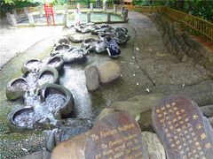 -成都市活水公园