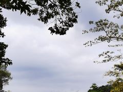-田心森林公园