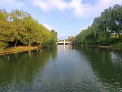 -新江湾城公园