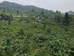 -樱桃山旅游景区
