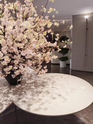 -广州美莱医疗美容医院