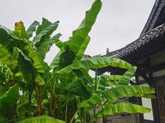 -磁器口古镇