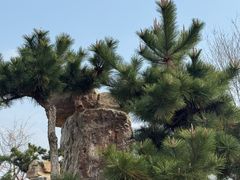 -武汉紫薇都市田园
