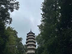 -灵谷景区