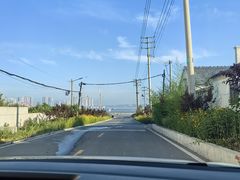 -养马岛旅游度假区