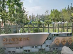 -上海长兴岛郊野公园