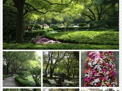 -上海交通大学医学院附属瑞金医院(总院)