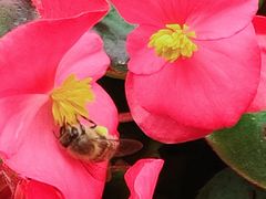 -复旦大学附属华山医院(江苏路分部)