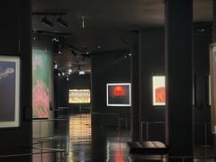 -罗红摄影艺术馆