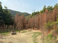 -广州市帽峰山景区
