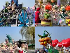 -荷兰花海