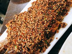 -韩风烤牛肉冷面店