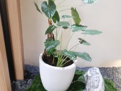 -常乐·对症推拿(嘉里中心第132分店)