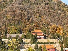 -遵化市禅林寺古银杏风景园