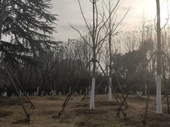 -滨湖塘西河公园